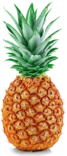 Ananas Stor