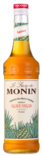 Monin Agave Sirup